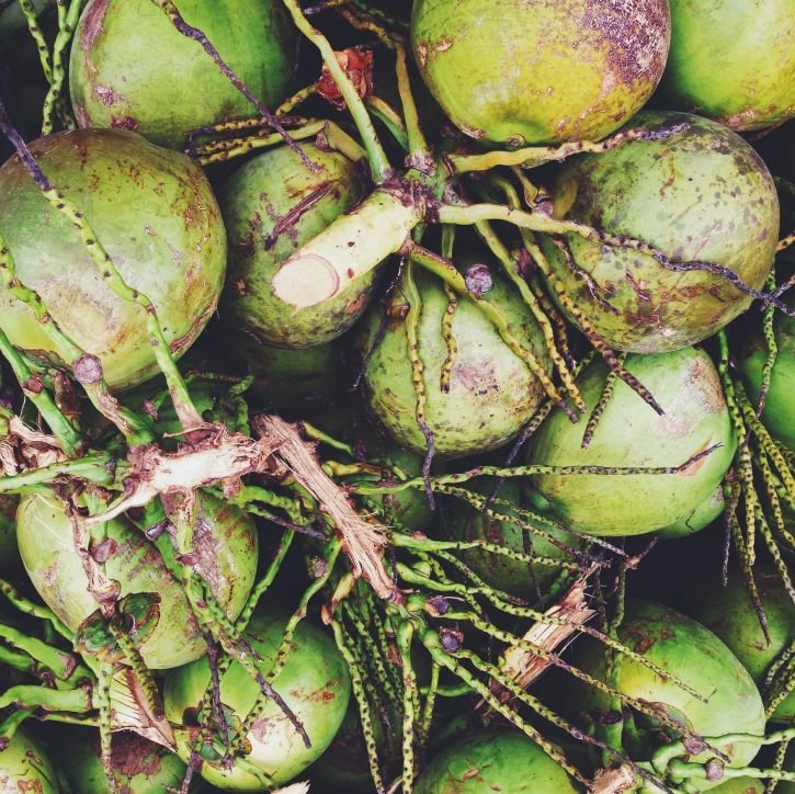 Jonge kokosnoot Healthiness